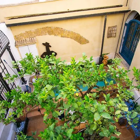 Appartement Sharis