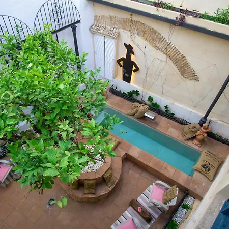 Apartamento Sharis *
